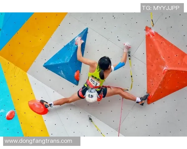 南京攀岩队分享比赛经验与技巧助力攀岩爱好者提升竞技水平