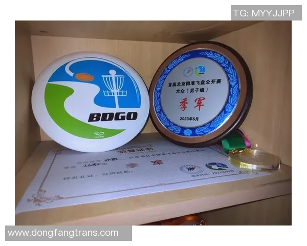 南京飞盘队与成都飞盘队赛后分析力量对比与战术探讨